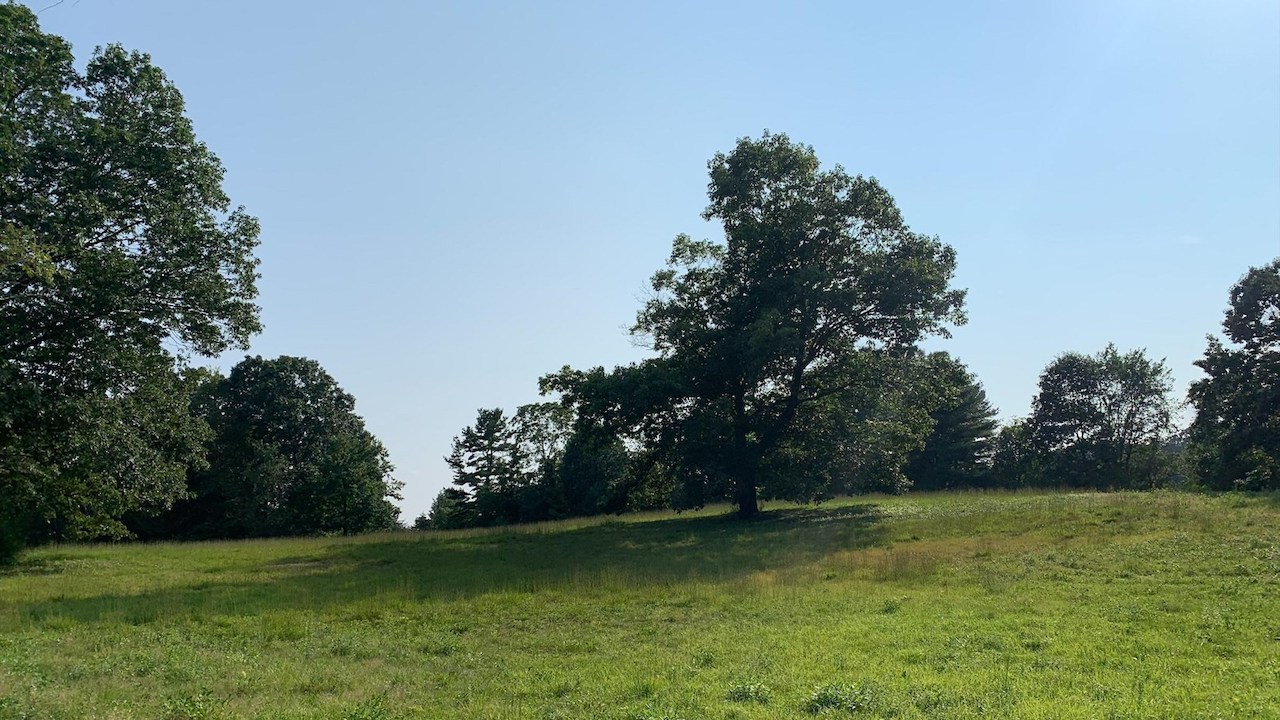 The Muster Field (National Park Service)