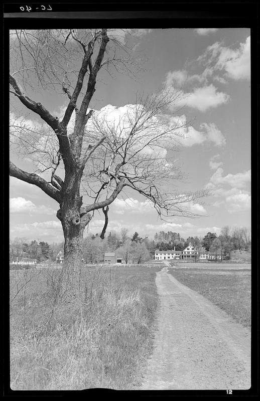 Field of Concord, Scene of the British Retreat (Phillips Library at the Peabody Essex Museum)