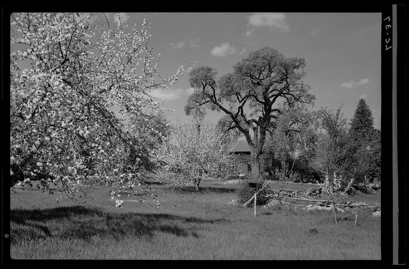 Along the Battle Road - the Hartwell Farm in Lincoln (Phillips Library at the Peabody Essex Museum)